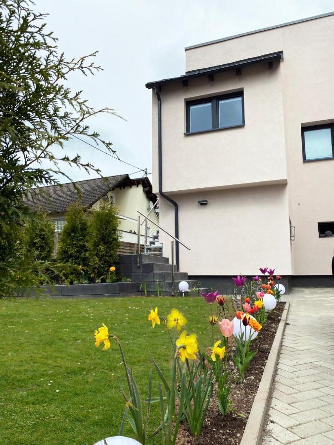 Sonnenlay Lounge - Studio&Ferienhaus Brauneberg Exterior foto